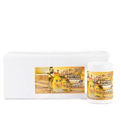 Çimsos Portakal Kadife 1 Kg - Çimsos